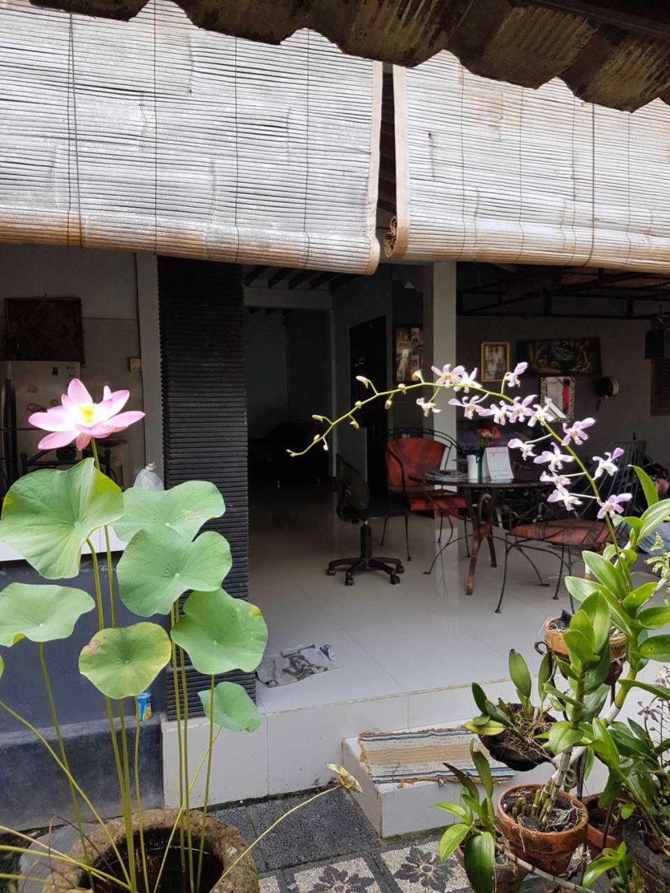 Mawar Homestay Canggu Zewnętrze zdjęcie