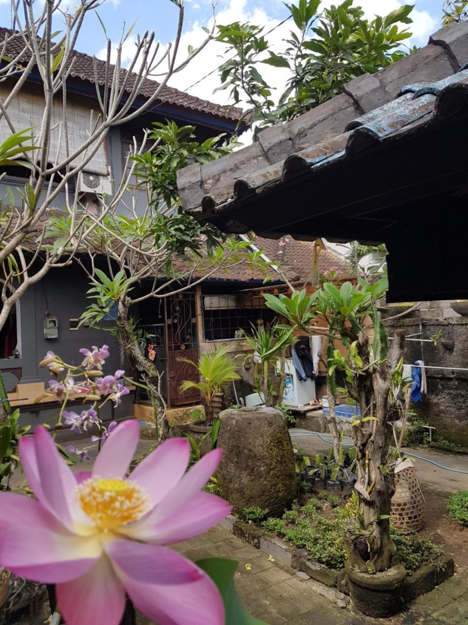 Mawar Homestay Canggu Zewnętrze zdjęcie